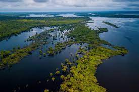 Entrada - APA Puduari-Solimões