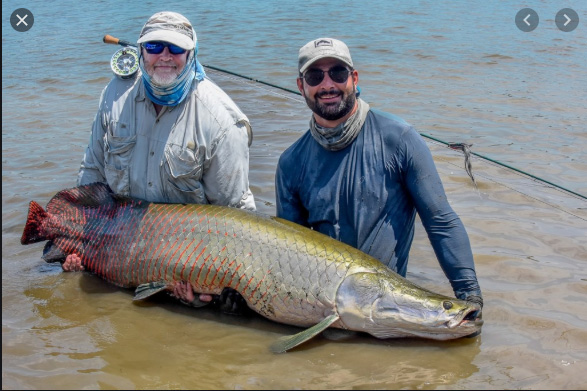 Pesca Esportiva do Pirarucu