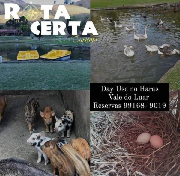 Day Use no Haras Vale do Luar