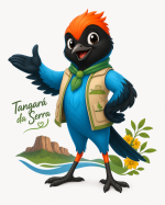 Hospedagens em Tangará da Serra (Hospedagens em Tangará da Serra/MT)