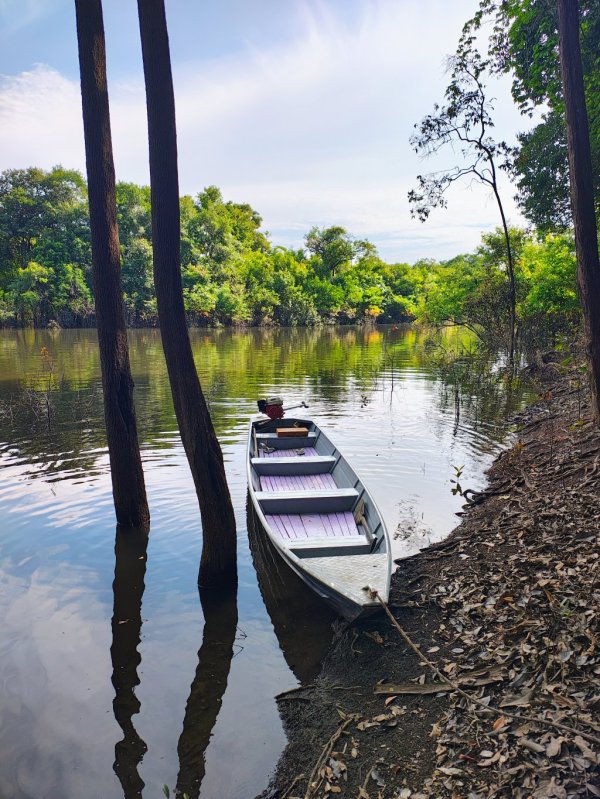 CUNIÃ - PASSEIO DE CANOA COM REMO NO LAGO DO CUNIÃ