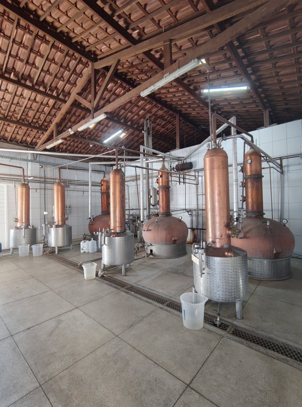 Rota da Cachaça Pai Vovô – Sabores e Saberes do Alambique